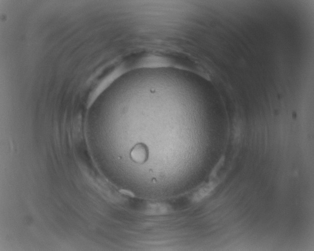 X0000052550376200507011136