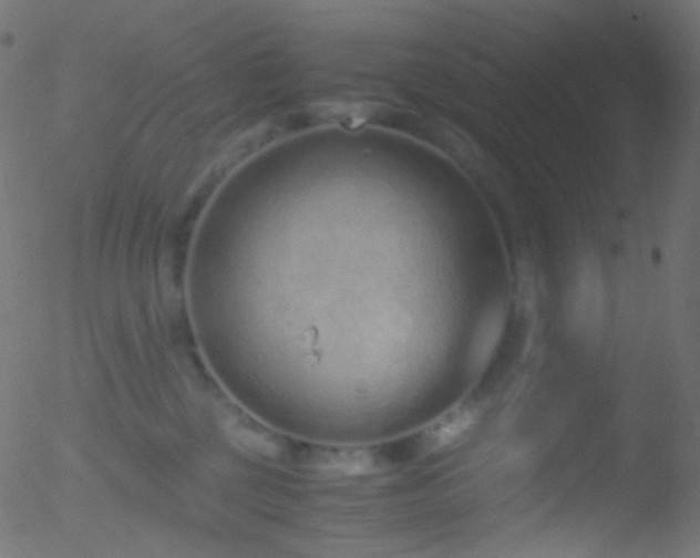 X0000052550377200507011136