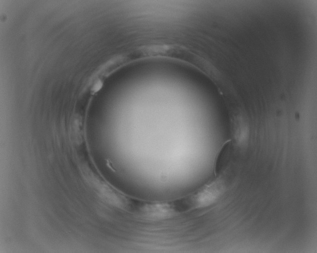 X0000052550378200507011136