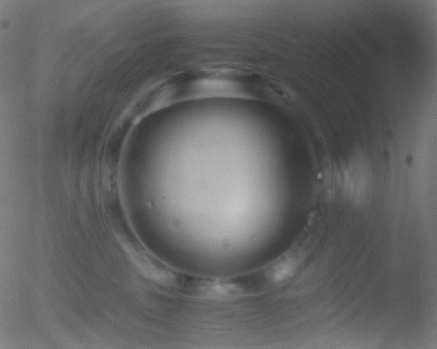 X0000052550379200507011136