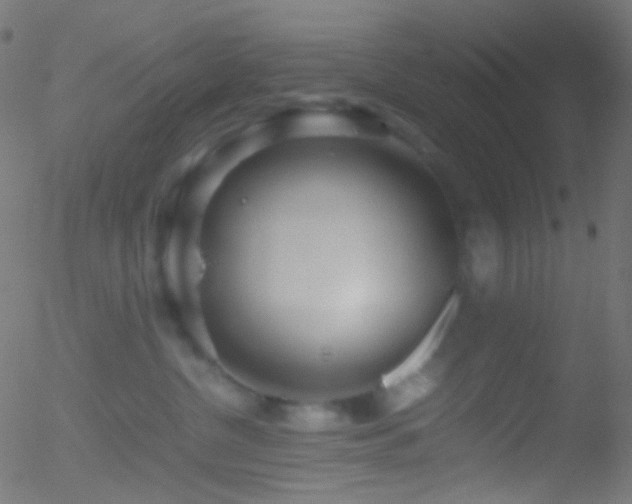 X0000052550380200507011136