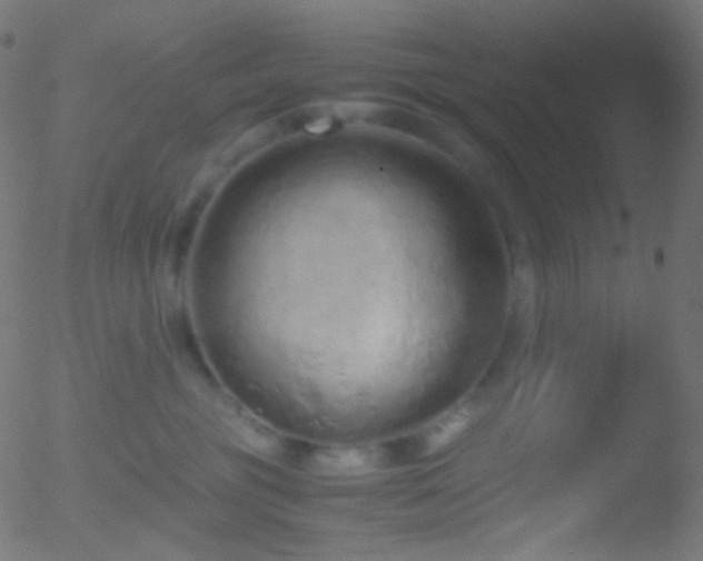 X0000052550381200507011136