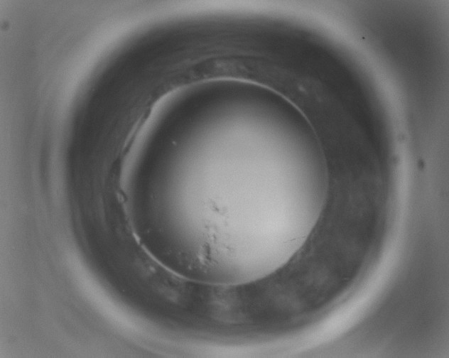 X0000052550382200507011136