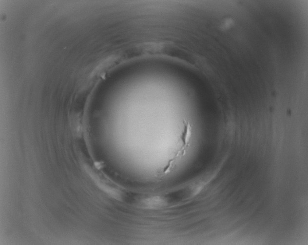 X0000052550383200507011136