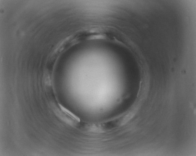 X0000052550384200507011136