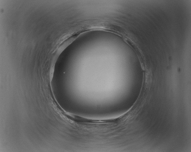 X0000052550385200507011136