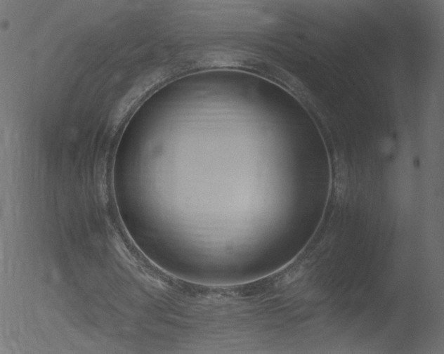 X0000052550386200507011136