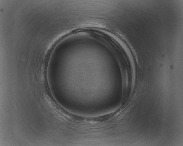 X0000052550387200507011136