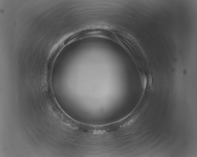 X0000052550388200507011136