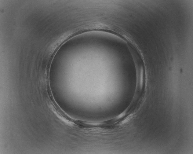 X0000052550389200507011136