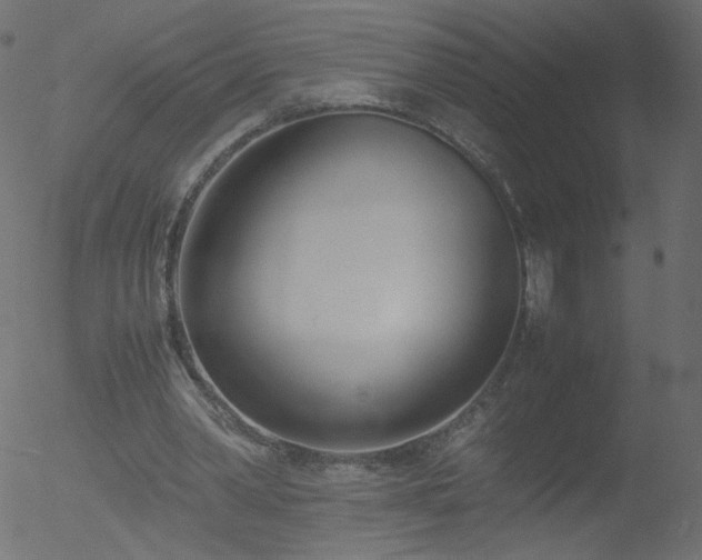 X0000052550390200507011136