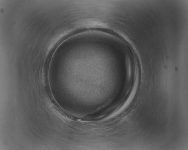 X0000052550391200507011136