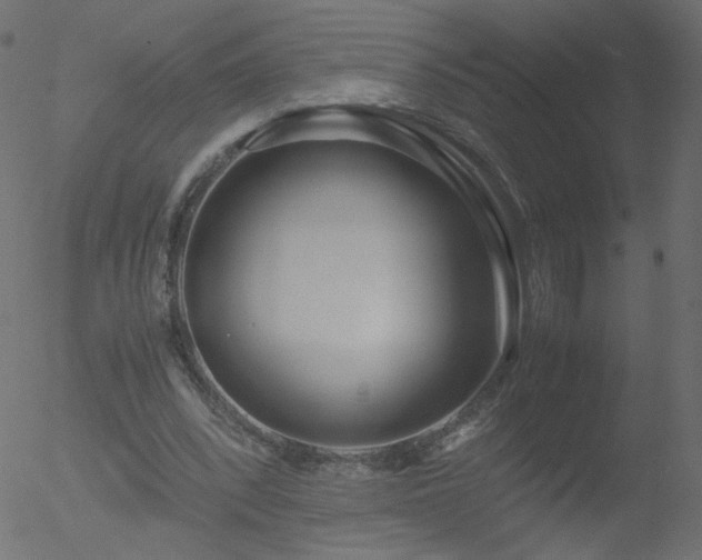 X0000052550392200507011136