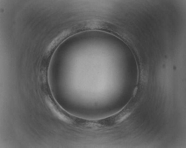 X0000052550393200507011136