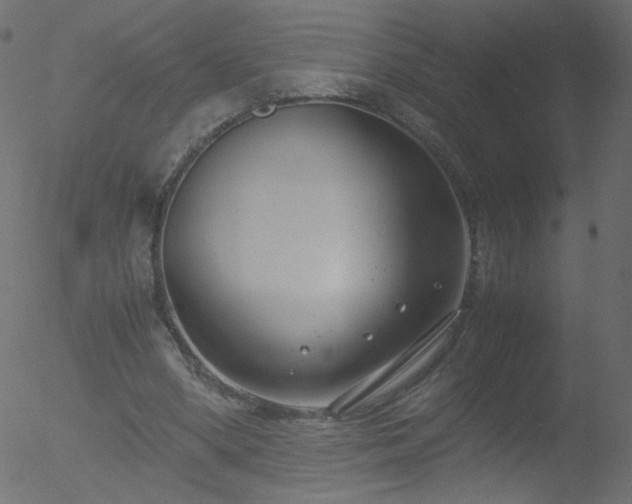 X0000052550394200507011135