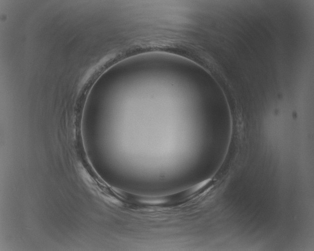 X0000052550395200507011135