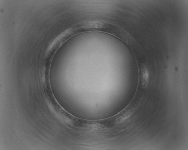 X0000052550396200507011135