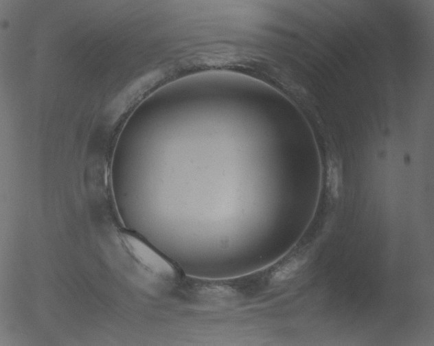 X0000052550397200507011135