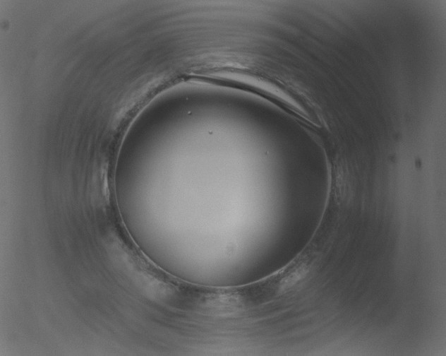 X0000052550398200507011135