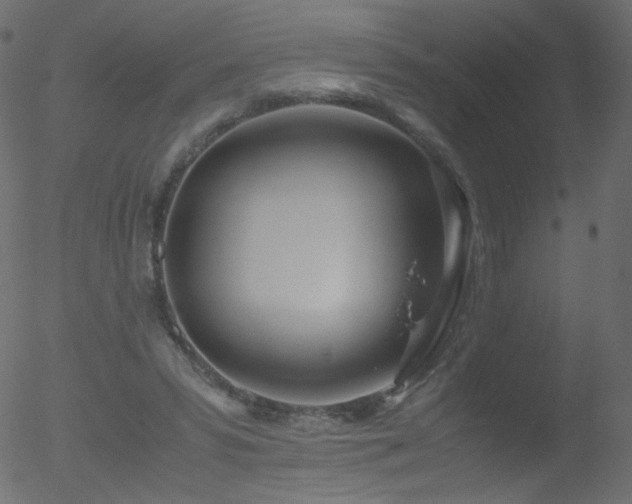 X0000052550399200507011135