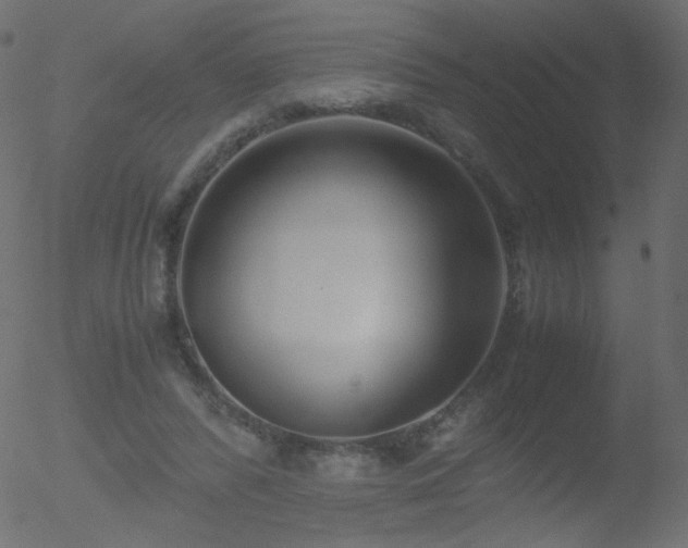 X0000052550400200507011135