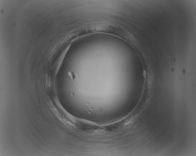 X0000052550401200507011135