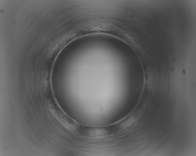 X0000052550402200507011135