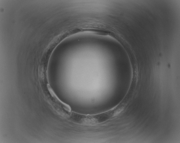 X0000052550403200507011135