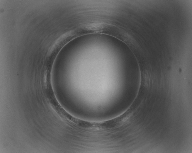 X0000052550404200507011135