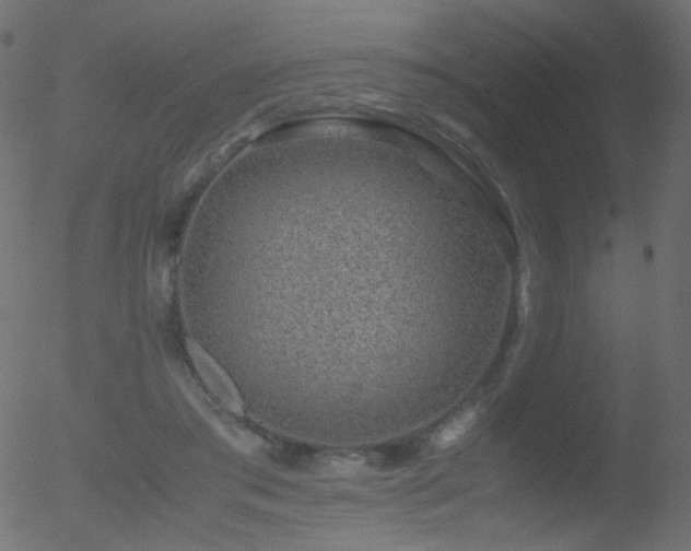 X0000052550405200507011135