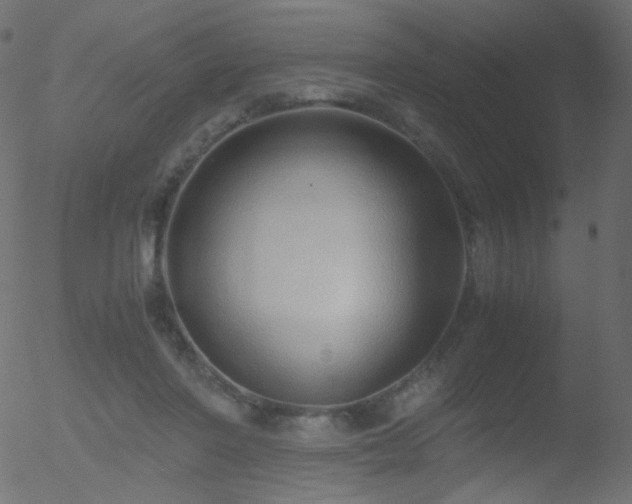 X0000052550406200507011135