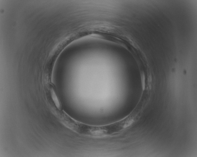 X0000052550407200507011135