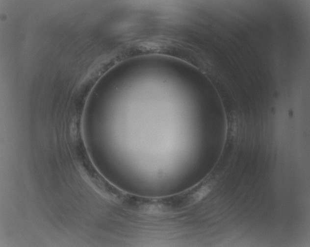 X0000052550408200507011135