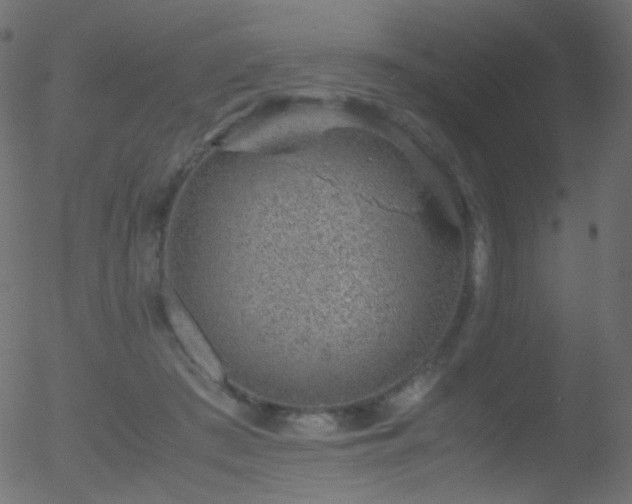 X0000052550409200507011135