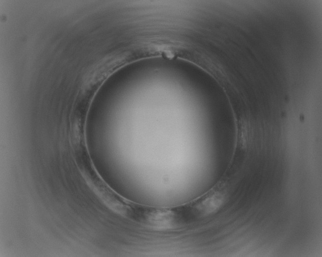 X0000052550410200507011135