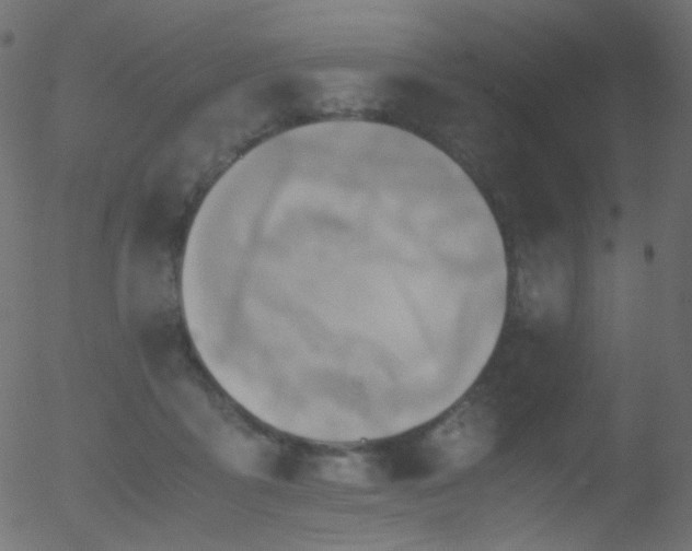 X0000052550411200507011135