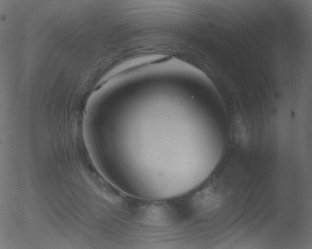 X0000052550412200507011135