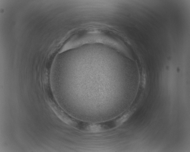 X0000052550413200507011135