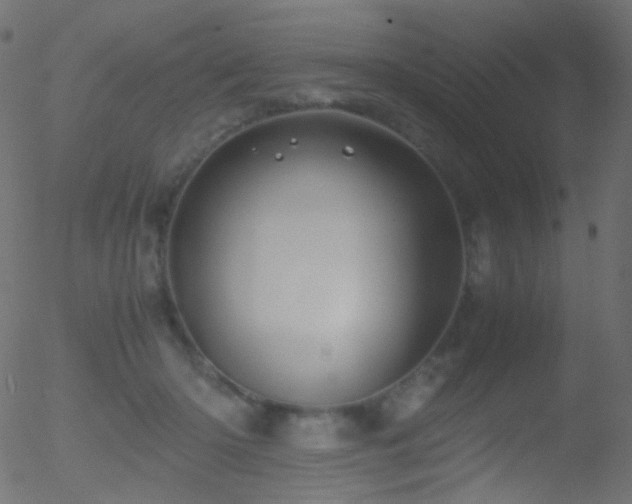 X0000052550414200507011135