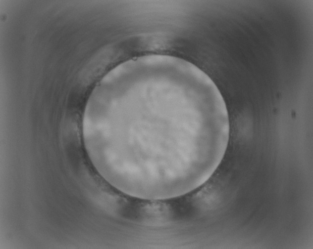 X0000052550415200507011135