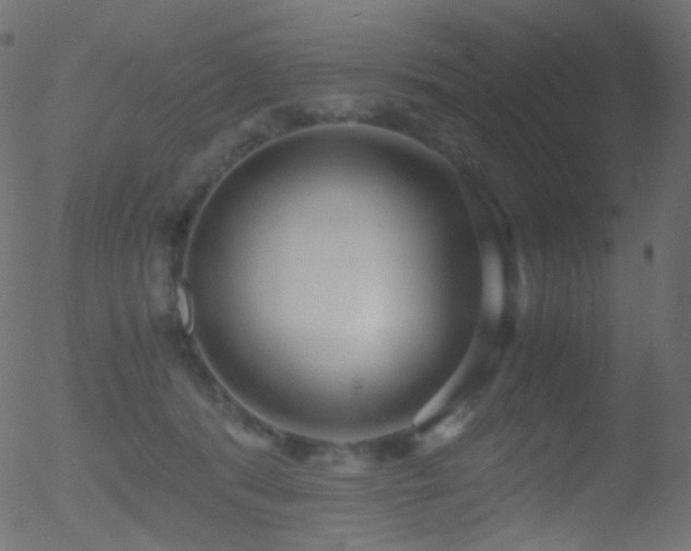 X0000052550416200507011135