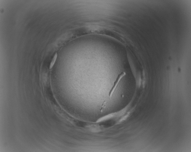 X0000052550417200507011135