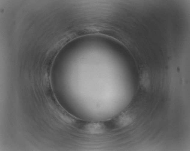 X0000052550418200507011135