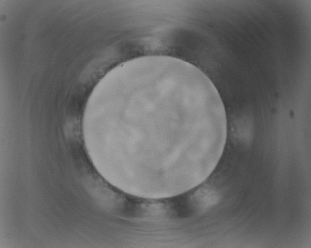 X0000052550419200507011135