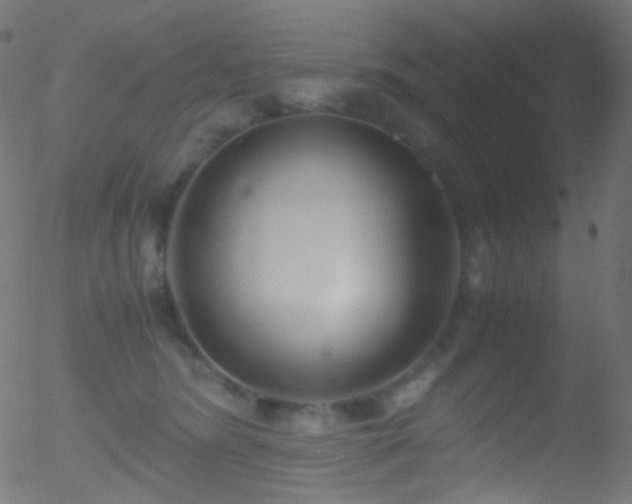 X0000052550420200507011135