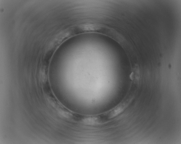 X0000052550422200507011135