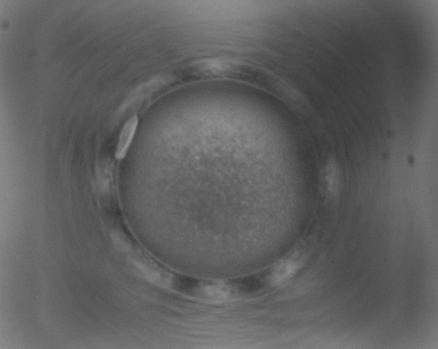 X0000052550423200507011135