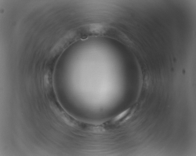 X0000052550424200507011135