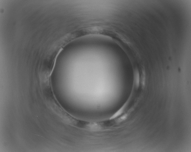 X0000052550425200507011135