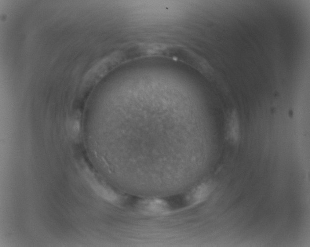 X0000052550427200507011135